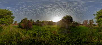 Everglades / Florida