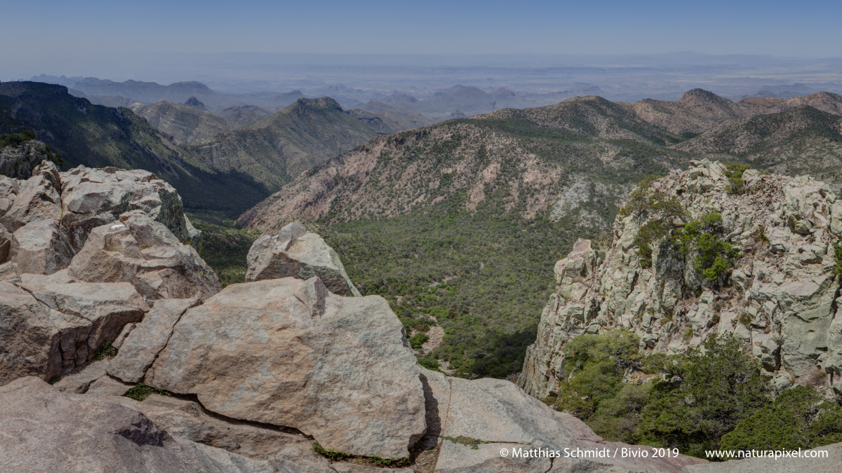 Emory Peak