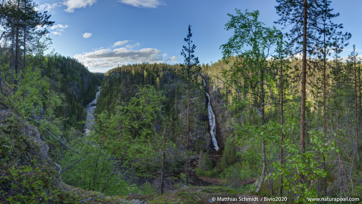 Muddus Wasserfall