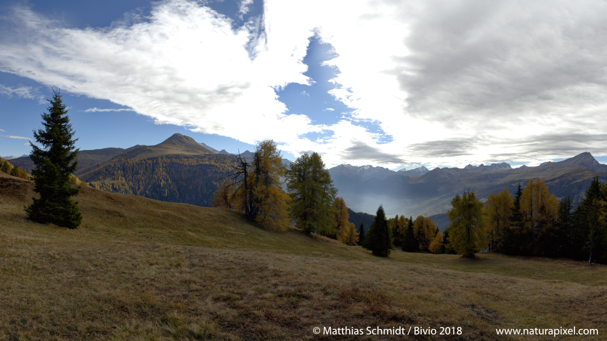 Muttener Berge