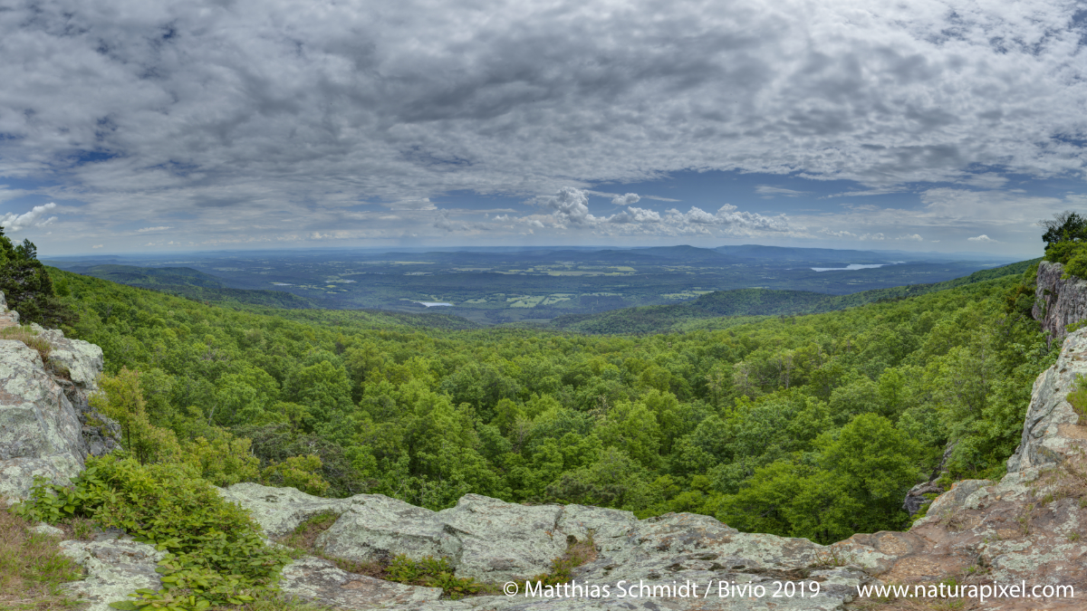 Petit Jan River Valley / Arkansas