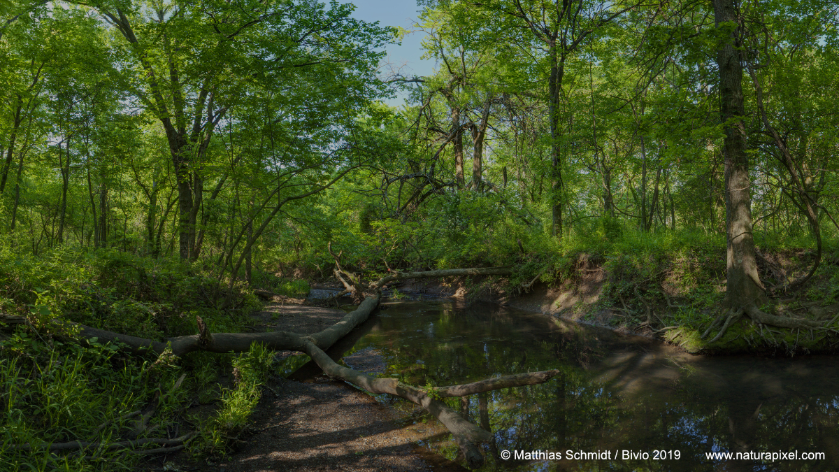 Prairie State Park