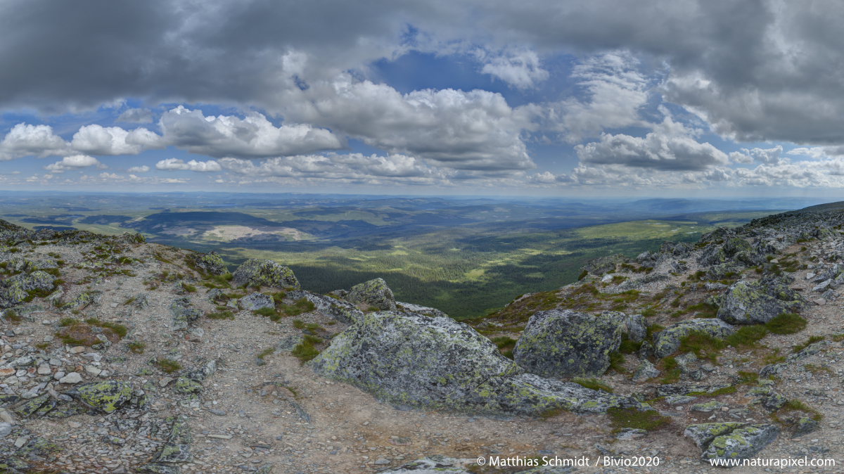 Sonfjaellet Nationalpark