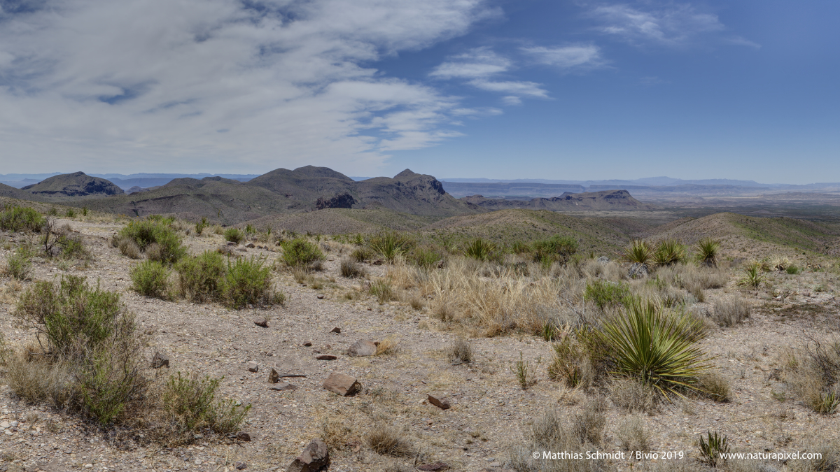 Sotol Vista Overlook