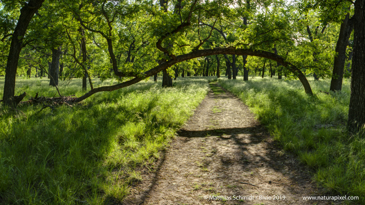 Rio Grande Village, Nature Trail