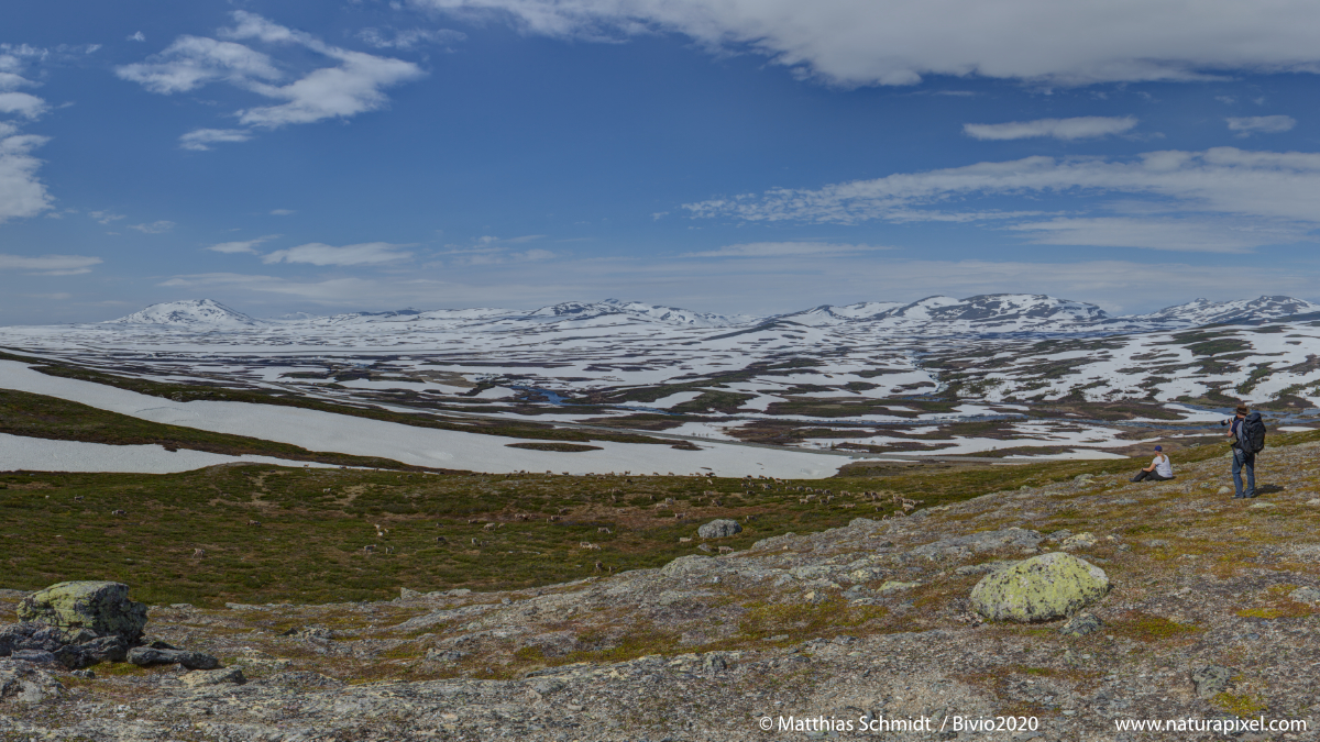 Stekenjokks Plateau